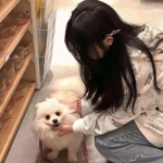 澳门新葡萄新京8883手机app下载截图